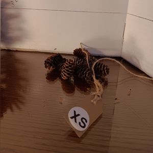 Tiny XS. Pinecones  1 quart bagful